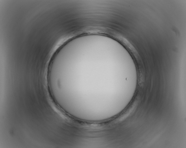 X0000112430986200908141107