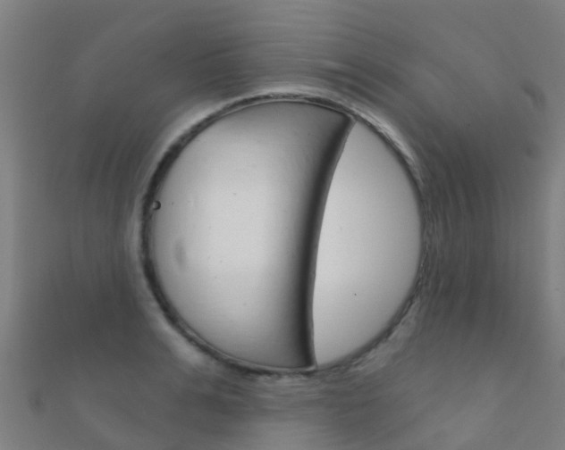 X0000112430991200908141107