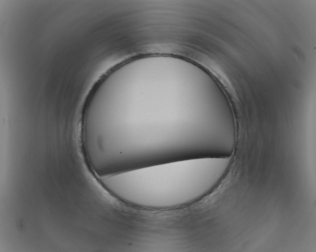 X0000112430992200908141107