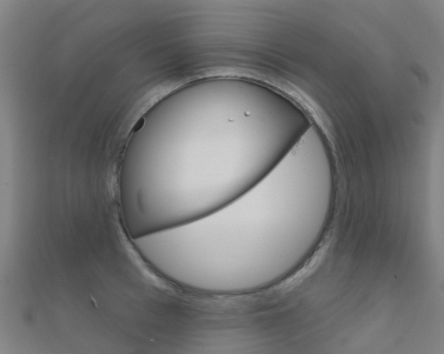 X0000112430993200908141107