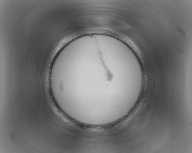 X0000112430994200908141107