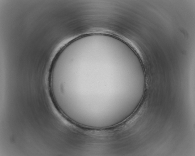 X0000112430995200908141107
