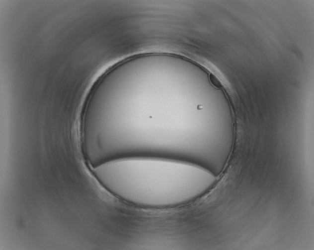 X0000112430996200908141107