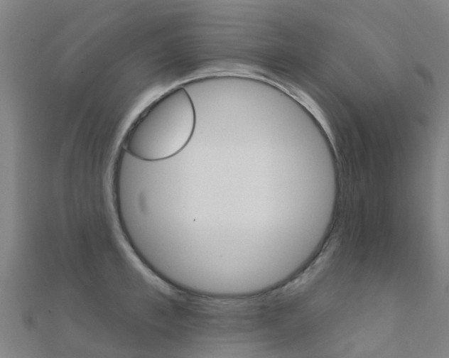 X0000112430997200908141107