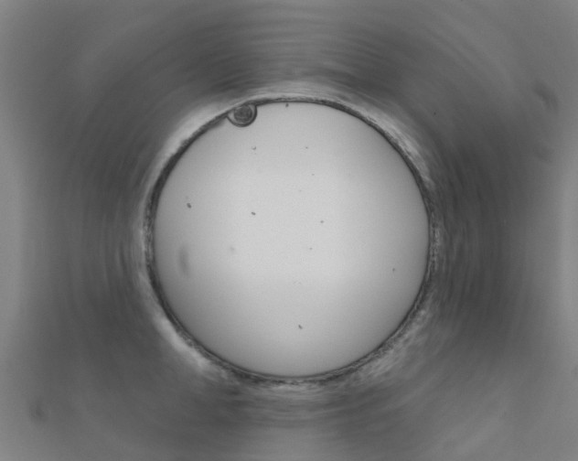 X0000112430998200908141107