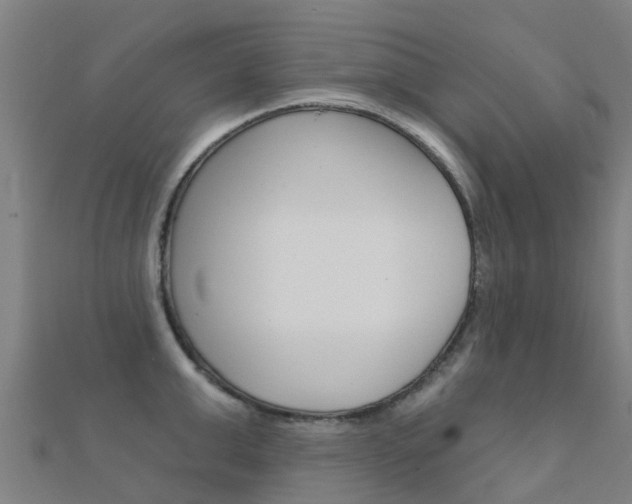 X0000112430999200908141107