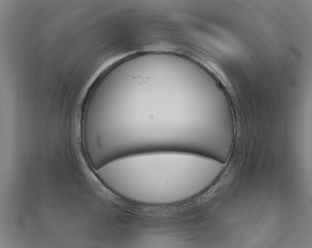 X0000112431000200908141107