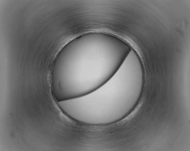 X0000112431001200908141107