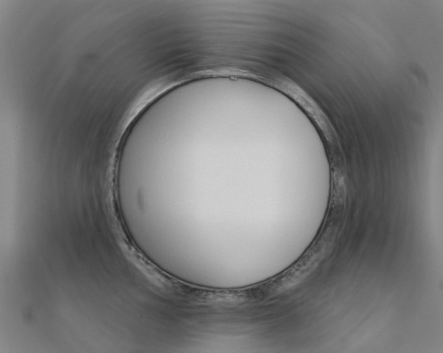 X0000112431002200908141107