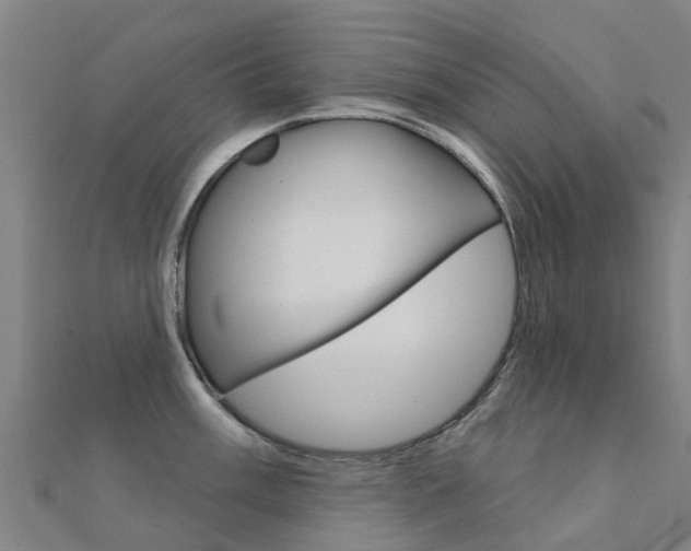 X0000112431003200908141107