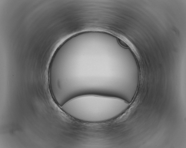 X0000112431004200908141107