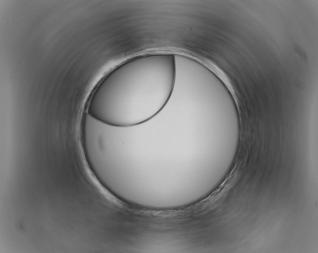 X0000112431005200908141107