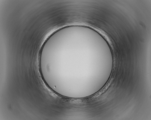 X0000112431006200908141107