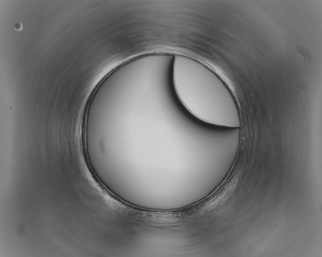 X0000112431007200908141107