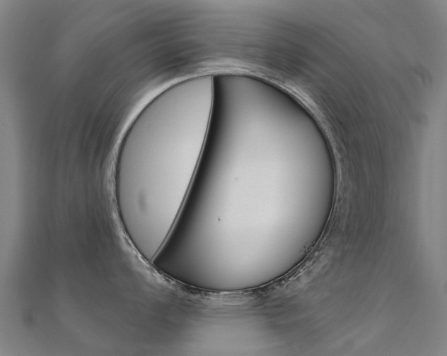X0000112431008200908141107