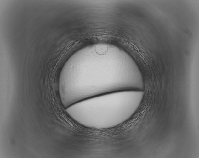 X0000112431009200908141106