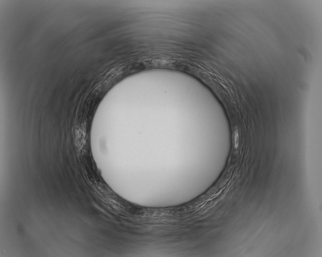 X0000112431011200908141106