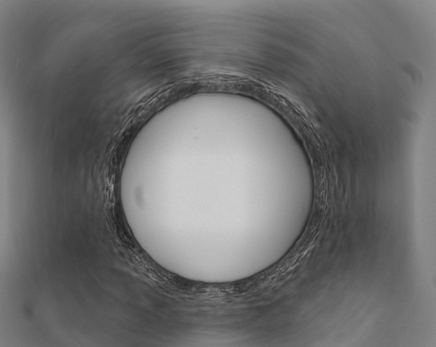 X0000112431013200908141106