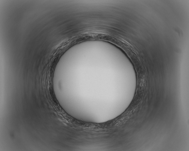 X0000112431014200908141106