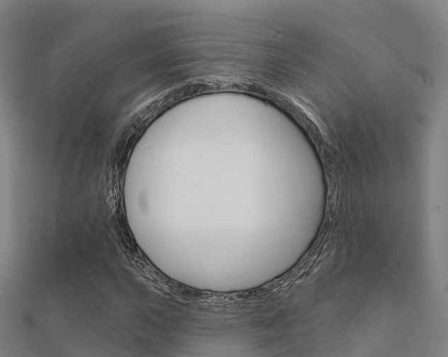 X0000112431015200908141106