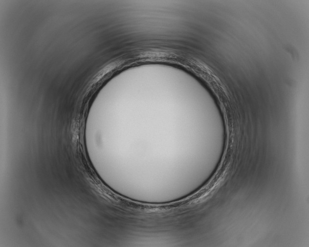 X0000112431017200908141106