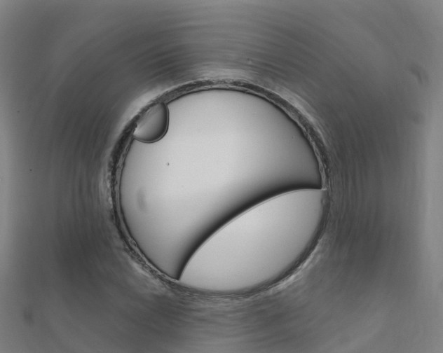 X0000112431022200908141106