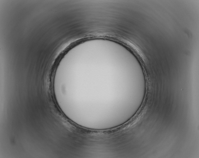 X0000112431023200908141107
