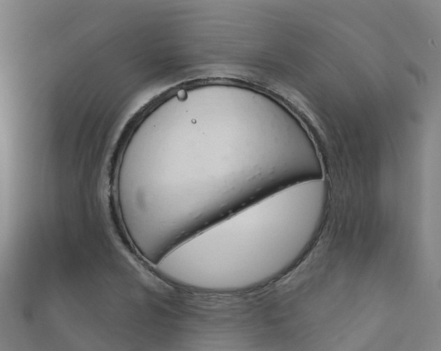 X0000112431024200908141107