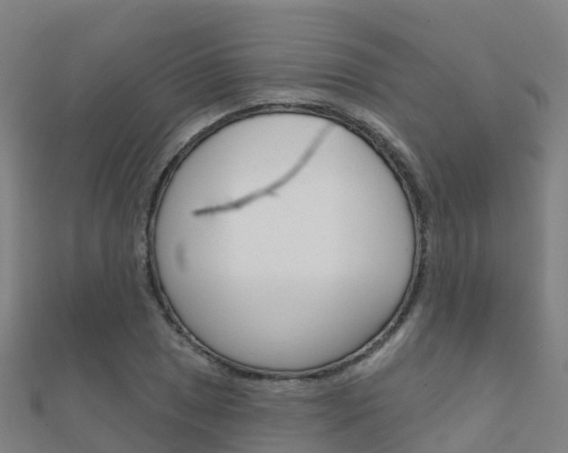 X0000112431025200908141107