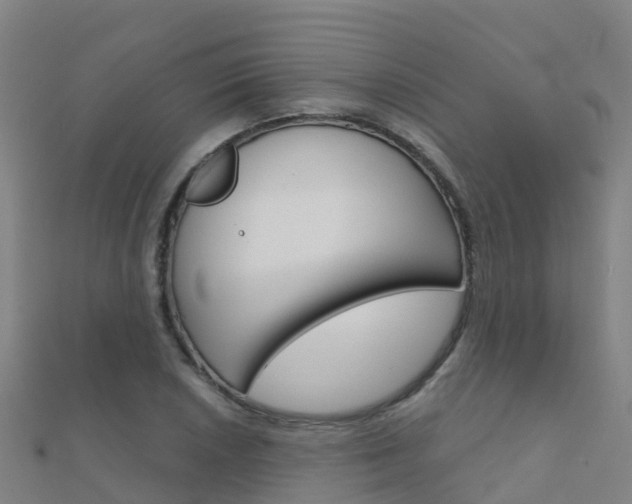 X0000112431026200908141107