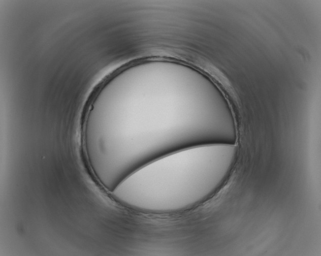 X0000112431028200908141107