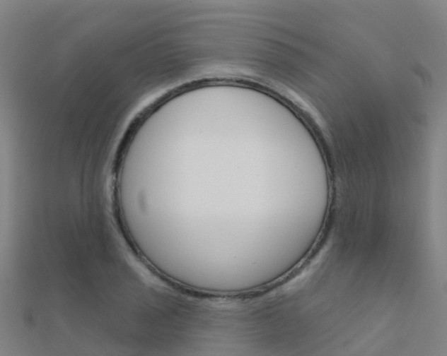 X0000112431029200908141107