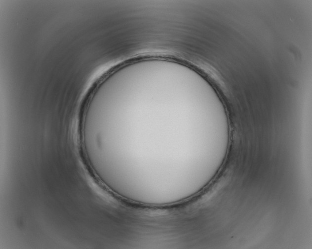 X0000112431030200908141107