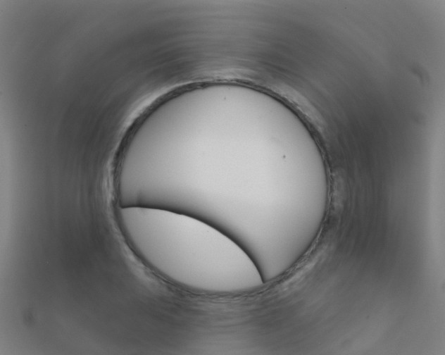 X0000112431031200908141107