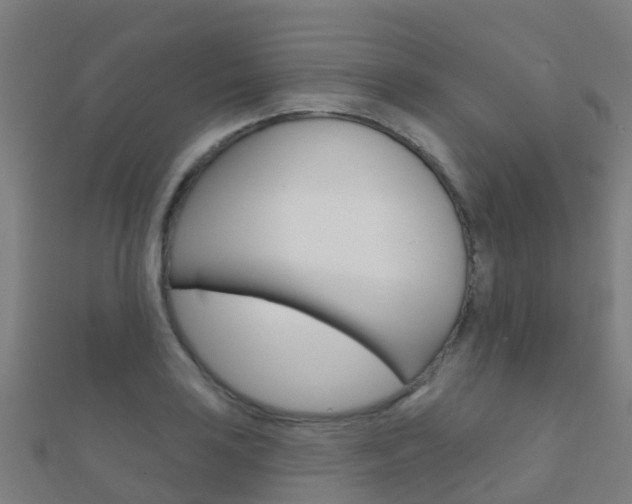X0000112431035200908141107