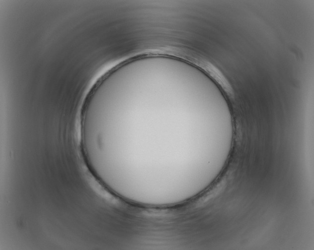 X0000112431036200908141107