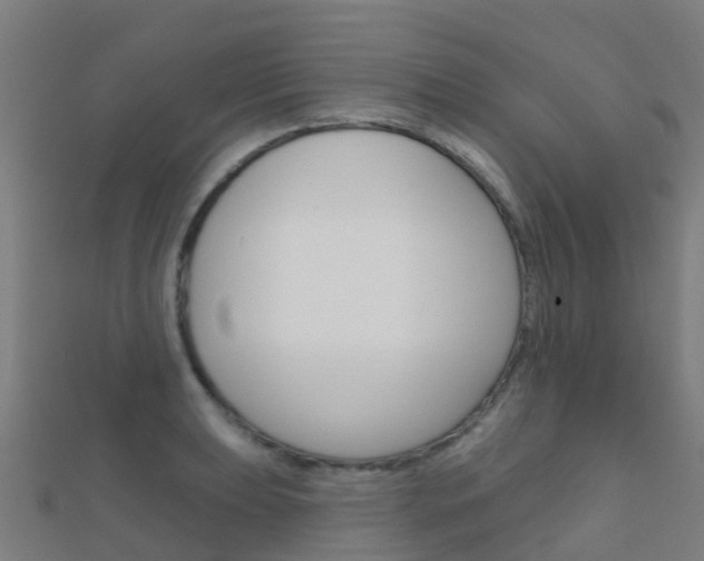 X0000112431039200908141107