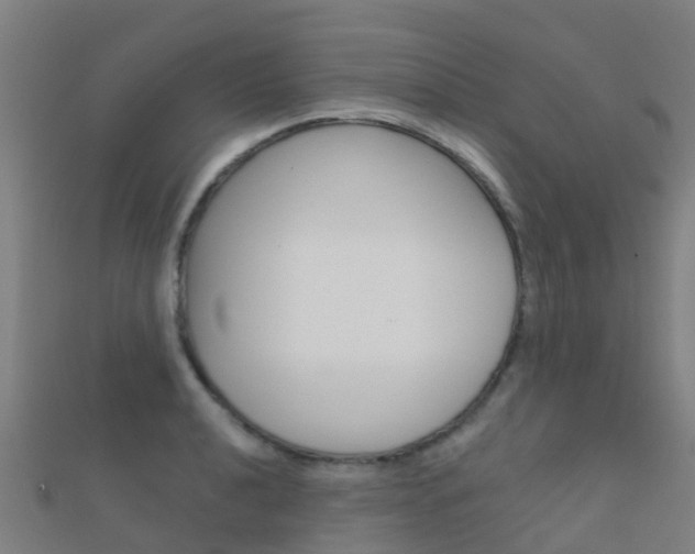 X0000112431040200908141107