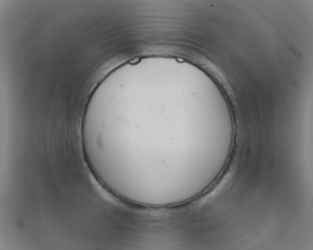 X0000112431041200908141107