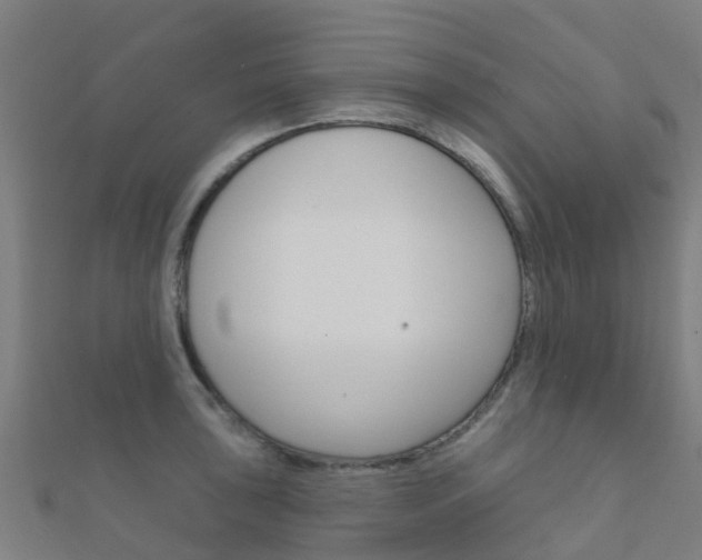 X0000112431043200908141107