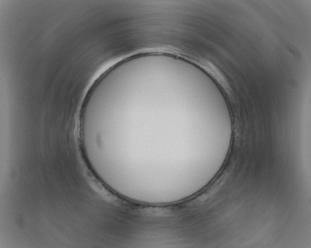 X0000112431044200908141107