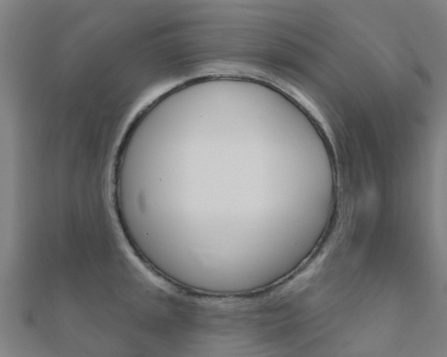 X0000112431045200908141107