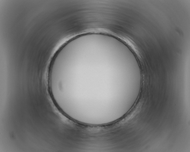 X0000112431046200908141107