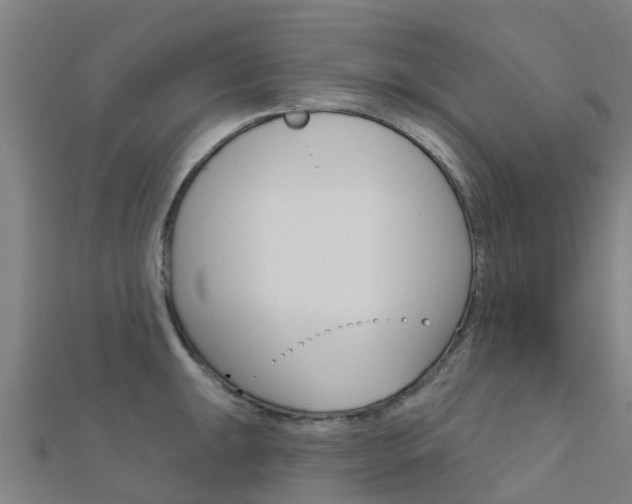 X0000112431047200908141107