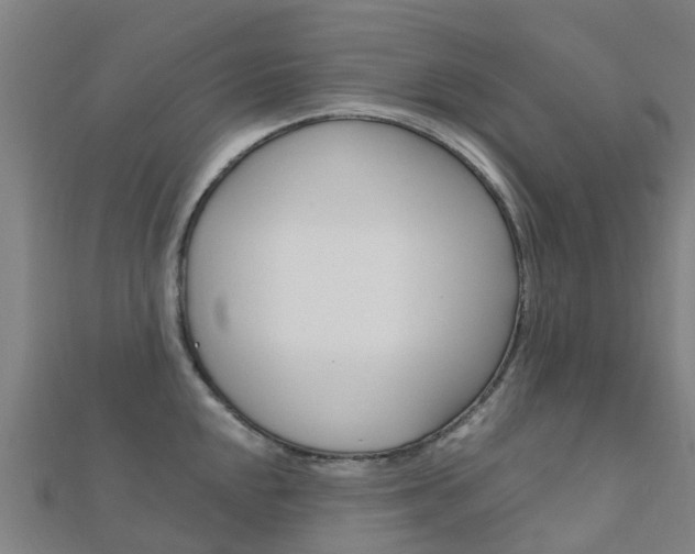 X0000112431048200908141107