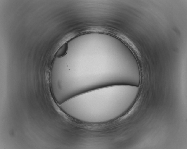 X0000112431049200908141107