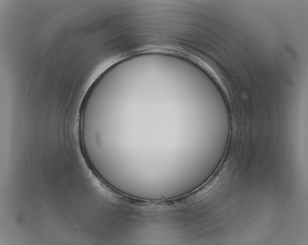 X0000112431050200908141107