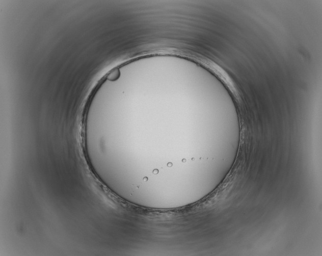X0000112431051200908141107