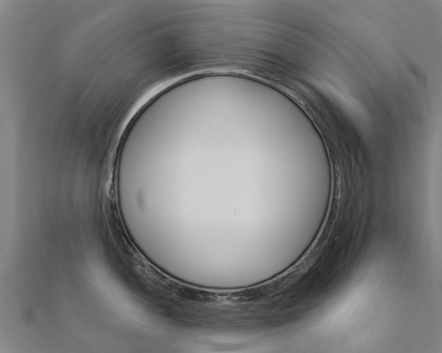 X0000112431052200908141107