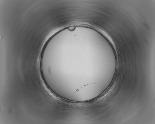 X0000112431053200908141107